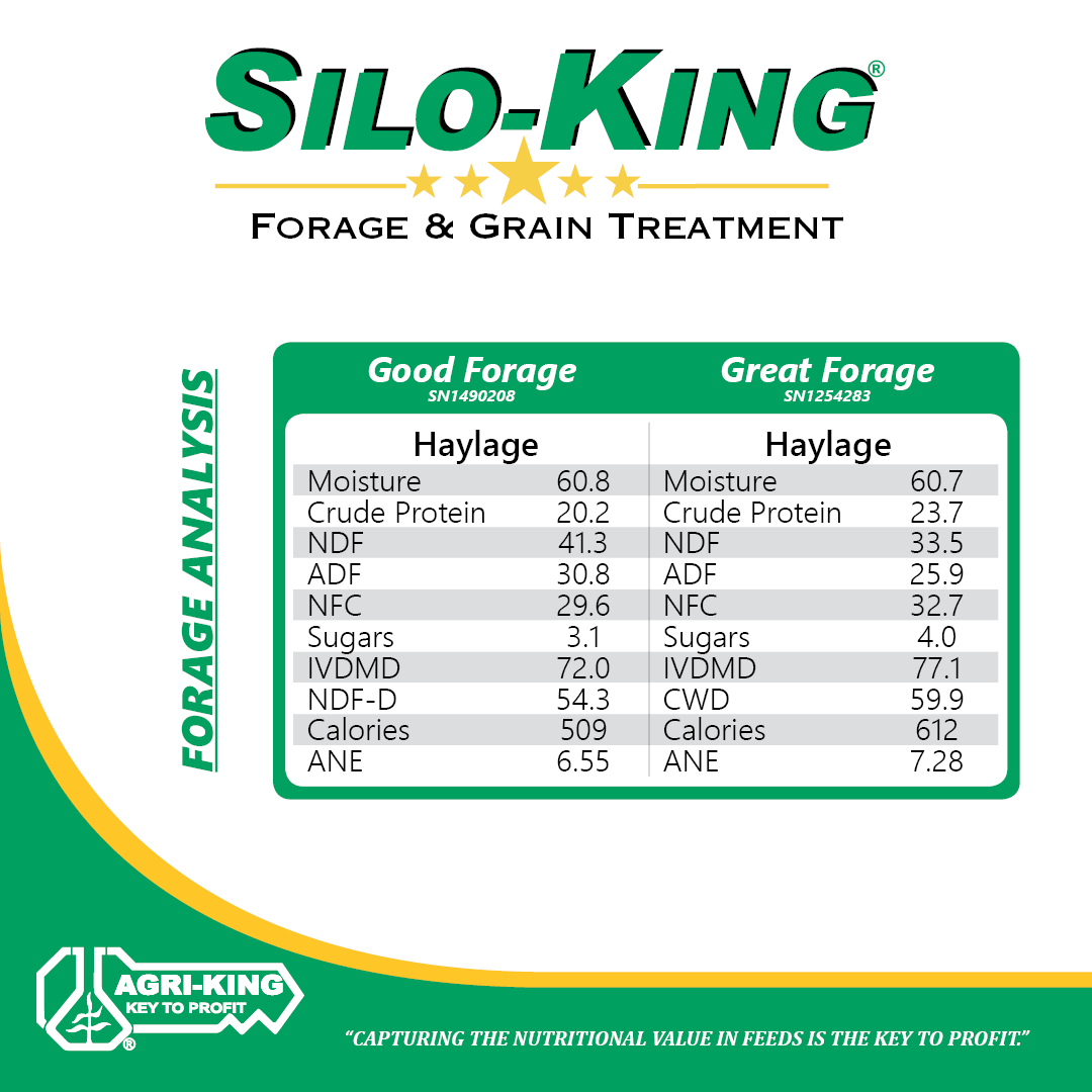 AgriKingInc's tweet image. What is the difference between GOOD forage and GREAT forage? Money in your pocket. #SiloKing #KeyToProfit