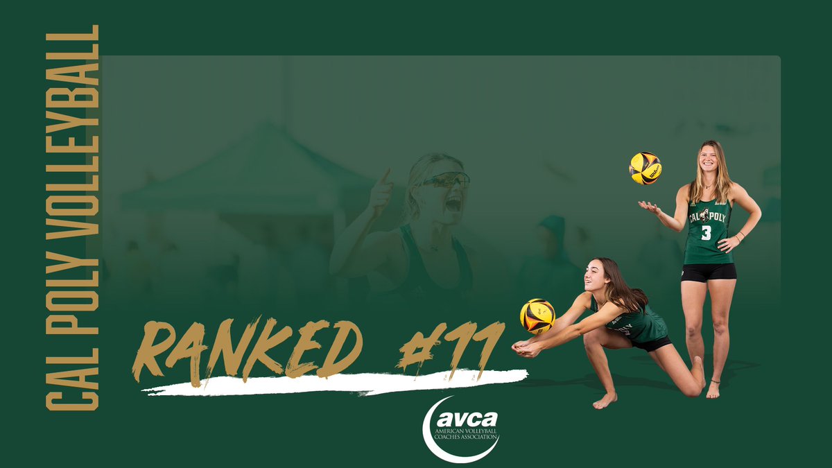 The latest <a href="/AVCAVolleyball/">AVCA</a> ranking are out and the Mustangs maintain the #1️⃣1️⃣ spot this week! #RideHigh