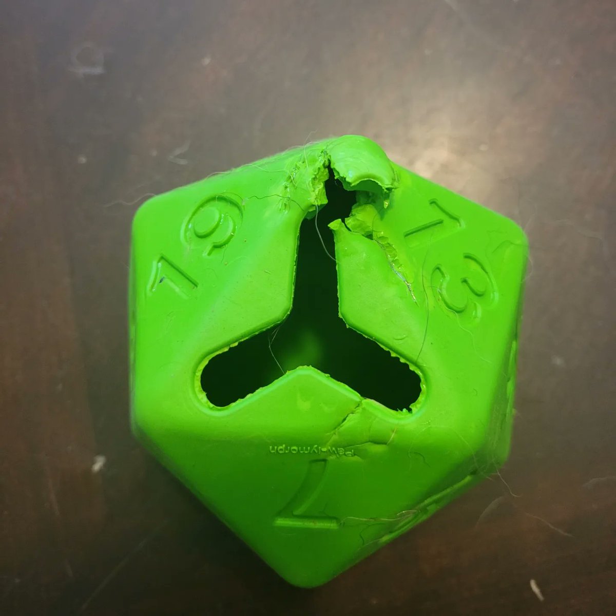 farmerzanath's tweet photo. Got the #pawlymorph d20 dog toys I bought the dogs for Xmas. Pictured what the toys looked like when I first opened the package vs less than 10 minutes later 🤷♂️ https://t.co/vqbJc1Id5L