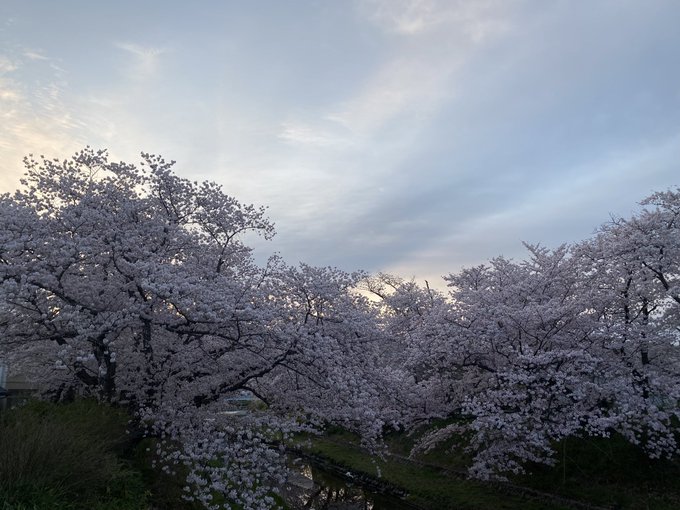 明るくなるのが早くなってきた 