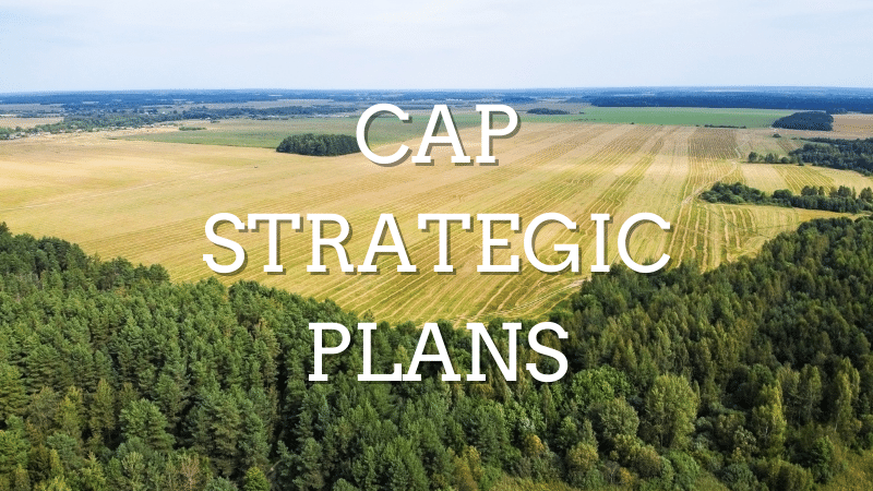 ARC2020eu's tweet photo. Observation letters under scrutiny: 19 Member States that submitted their #CAP Strategic Plans received their awaited Observation Letters. What are the implications of the Commission backtracking on a transparent process? ➡️ https://t.co/6Himswrfl4 https://t.co/rye5tpgtWQ