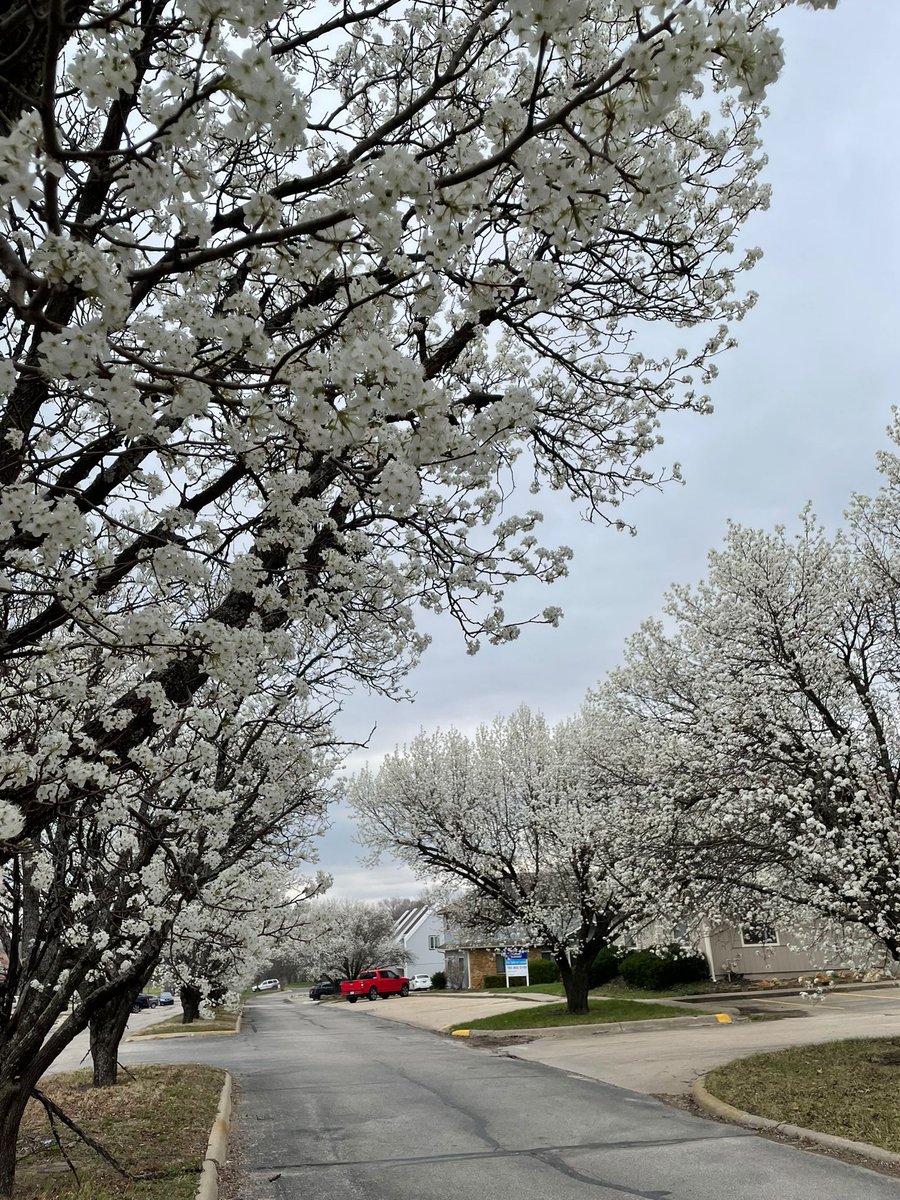 somy_553's tweet photo. Spring😍 https://t.co/7EYBj3CscA
