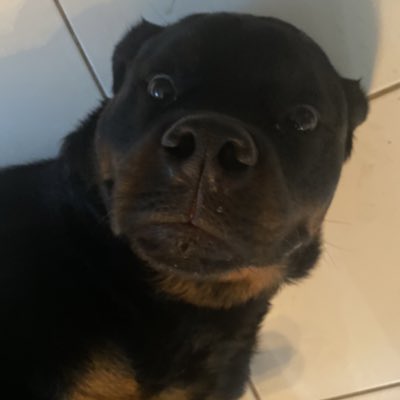 RORVNT's tweet photo. #NewProfilePic https://t.co/oN1d1yjEa2