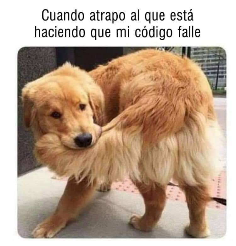 BarjaMayraD's tweet photo. Ups!! Te encontré ✨ https://t.co/52hAe0bhqW