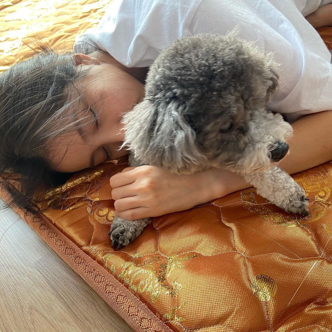 116pets tweet picture