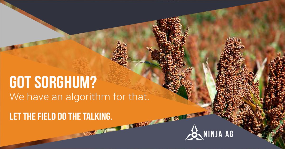 Ninja Ag tweet media