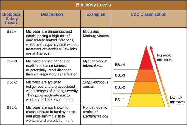 pathogenzNFT's tweet photo. Here is a breakdown of the four Biosafety Levels! Our Pathogenz will include strains from all four groups . Who wants an ultra rare BSL-4 🦠👀 #NFTCollection #SolanaNFT #NFTCommunity https://t.co/2O3doCUdO6