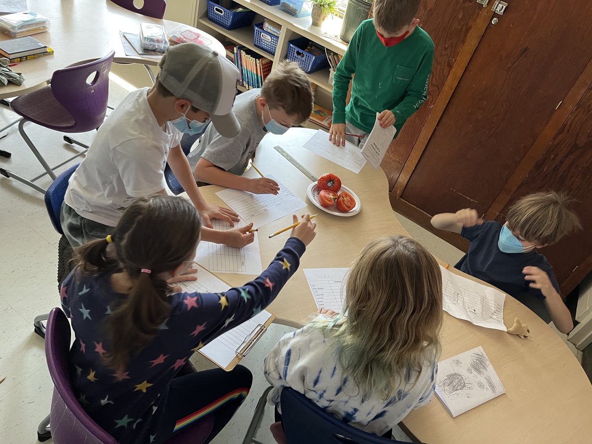 A2Eberwhite's tweet photo. Third grade scientists examined various types of tomatoes and reflected on if different types of growing methods or hereditary reasons could help explain the variations between the tomatoes #a2getherstrong #phenomenalscience https://t.co/wFRDwtlhAq
