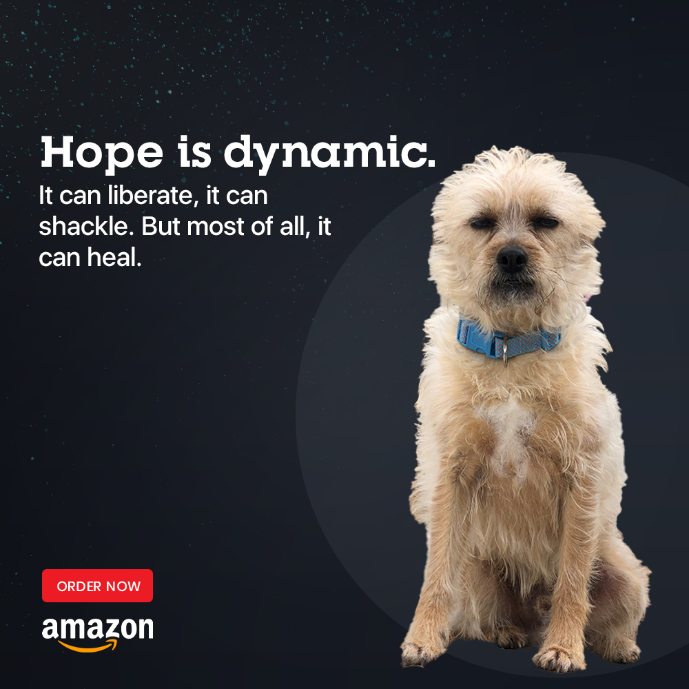 Finding Mr George tweet media