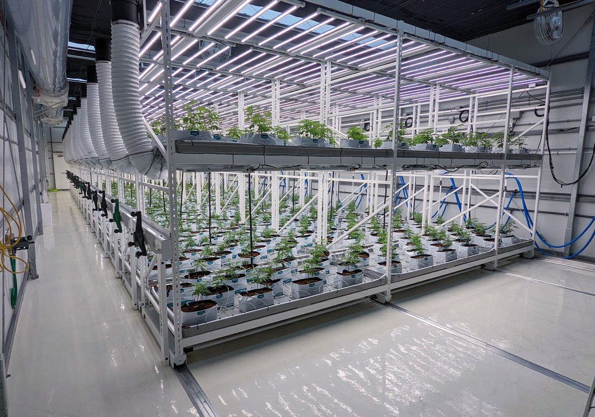 Montel | Grow More, Store More tweet media