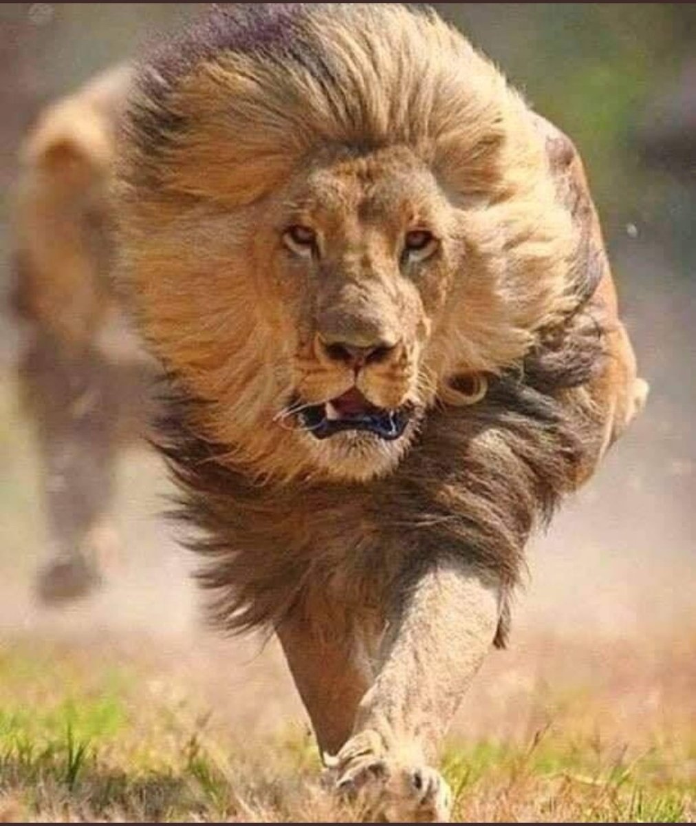 abdelazizswelm's tweet photo. قد تأتي الطاعه من الخوف ...
ولكن الاحترام يأتي من الحب... https://t.co/weqJbX6Anz