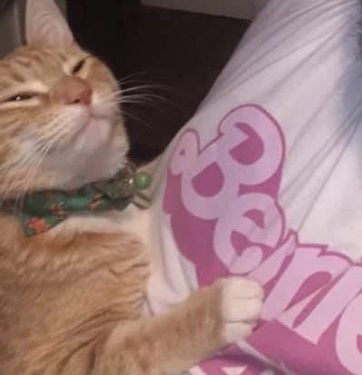 Jean’s guy says cancel student debt