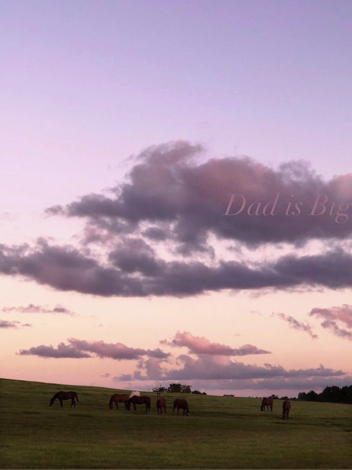 Hi https://t.co/0f3P38y1TB