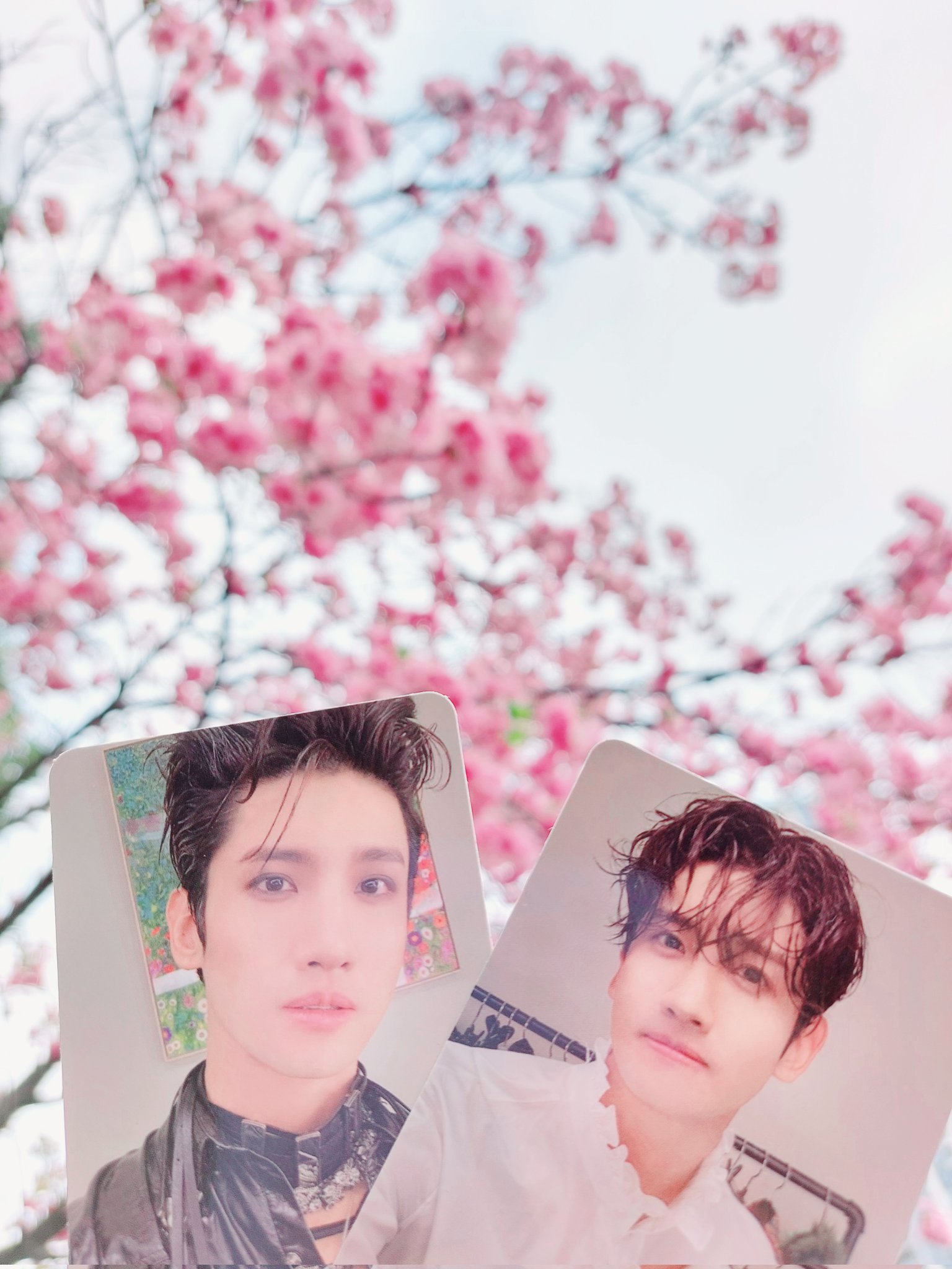 シムチャンミン Twitter Search Twitter