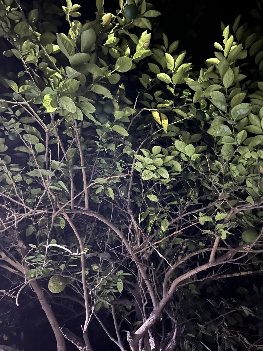 Mia (@miamia99859940) on Twitter photo 