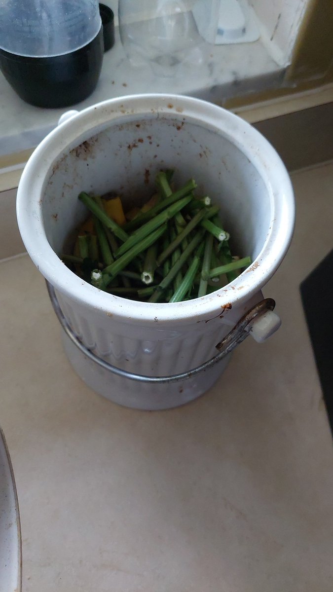 mrcmath's tweet photo. Earth month challenge week 1: composting. Helps to enrich our garden and yard soil! @aptera_motors https://t.co/xKwMCiECuS