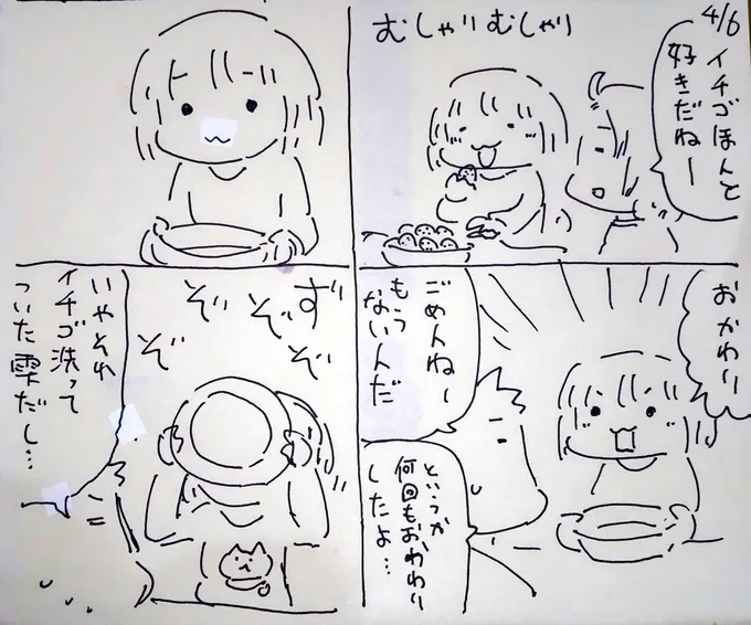 #本日のむすめさん

イチゴが安いシーズンになりましたね…。おかげでこれです! 