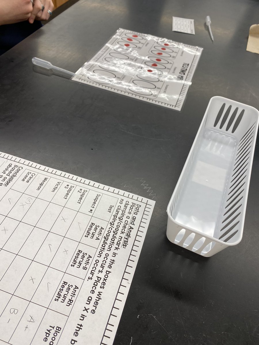 Blood Type Analysis in #SBI3U This helps to reinforce the concepts of blood type, what it means to be +/-, and blood donation/transfusion (can actually see agglutination). Students solved a murder mystery 🔎My students are loving our Structure &amp; Function unit 🩸 #ITeachBio