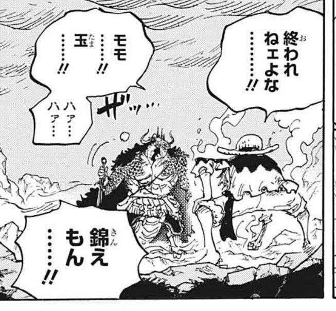 ネペック One Piece Onepiece1264 Twitter