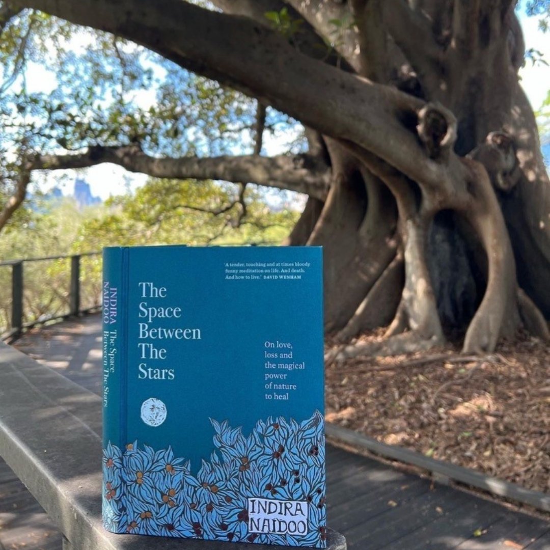 murdochbooks's tweet photo. When Indira Naidoo's younger sister suddenly died, Indira began to explore how nature can help us heal. This Moreton Bay fig tree in @RBGSydney supported her through her grief - you can read how in #TheSpaceBetweenTheStars, available now.
📸: @dearindira https://t.co/Fo2bZ3NIQJ