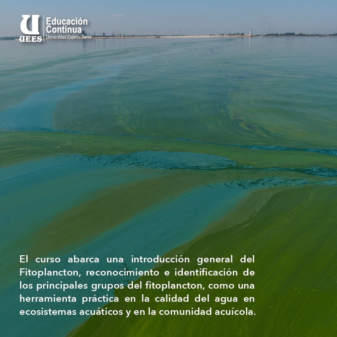 DEC_UEES's tweet photo. El curso abarca una introducción general del fitoplancton, reconocimiento e identificación de los principales grupos del fitoplancton, como una herramienta práctica en la calidad del agua en ecosistemas acuáticos 🌿Contáctanos: https://t.co/uChd5ImliR https://t.co/dDUtuyY1xr