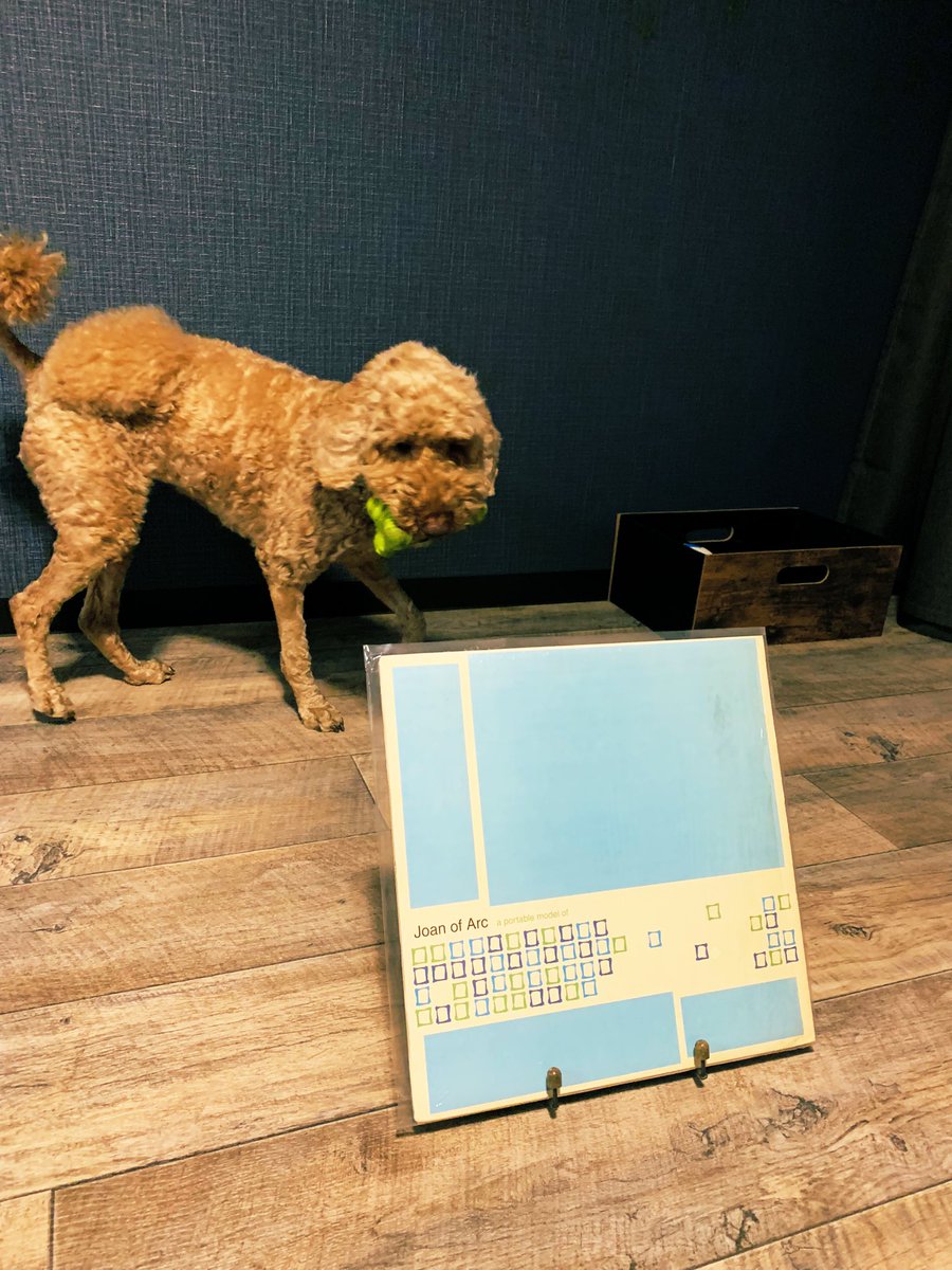 PositiveMaddog's tweet photo. マンチェスター・シティ✖アトレティコ・マドリードの視聴終了
ゴール期待値はMCI 0.94 - 0.07 AMA
AMAは71分までハイプレスなし、5-5~5-4のhuman chain大作戦
森保JAPANのGS突破の光明を見た気がした
Atletico Japadridの萌芽
#JoanofArc #aportablemodelof #MCIAMA #シメオネ #xG #UCL https://t.co/Eo2GYu0mEr