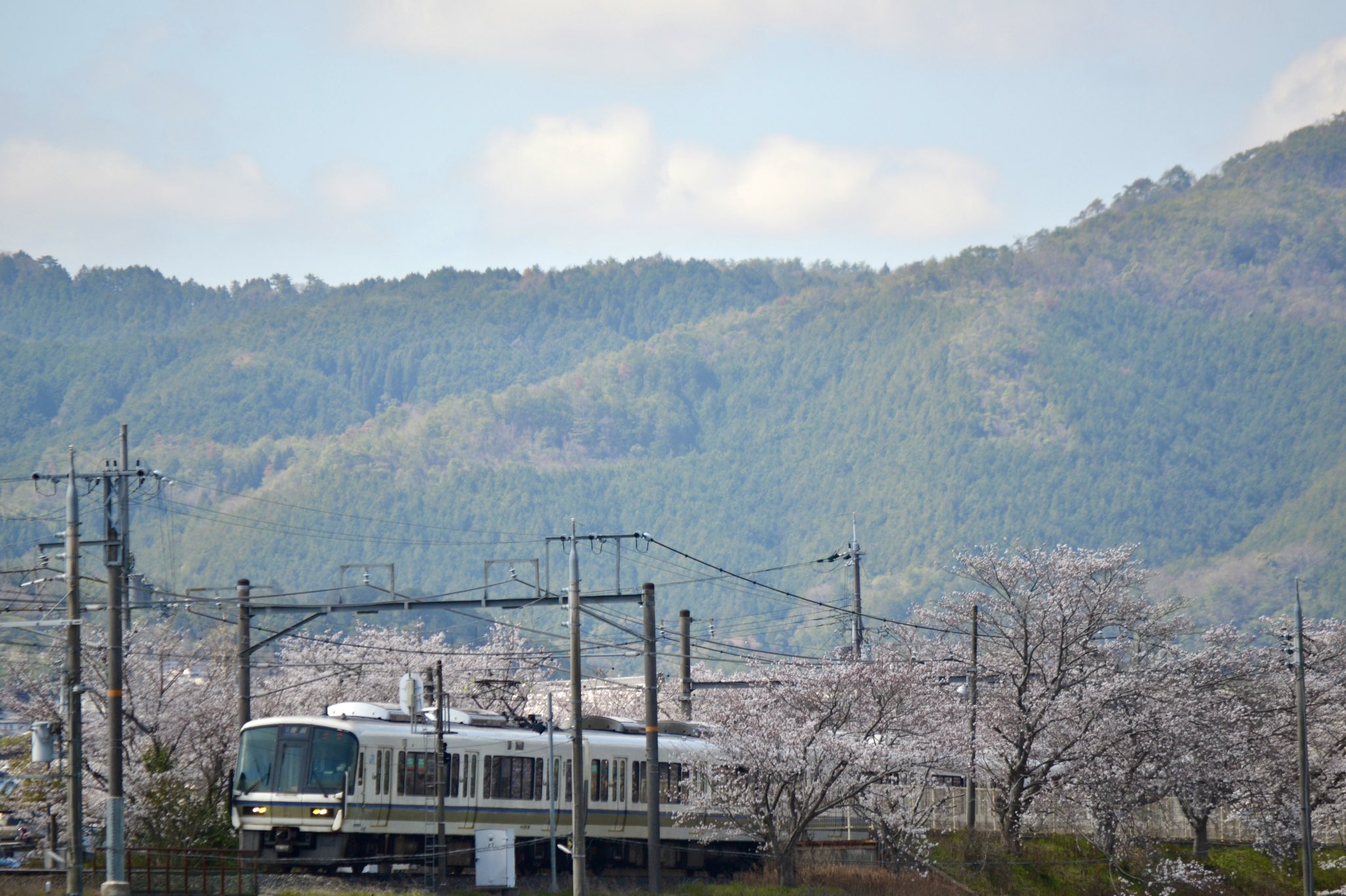 嵯峨野トロッコ列車Sagano Romantic Train【公式】 on Twitter 嵯峨野トロッコ列車Sagano Romantic Train【公式】 on Twitter