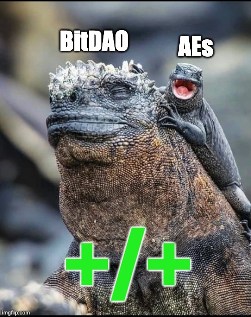 MantleJourney's tweet photo. #Winning 

@BitDAO_Official
@G7_DAO | @Edu_DAO | @zkdao_official https://t.co/2DZLx8sVT8