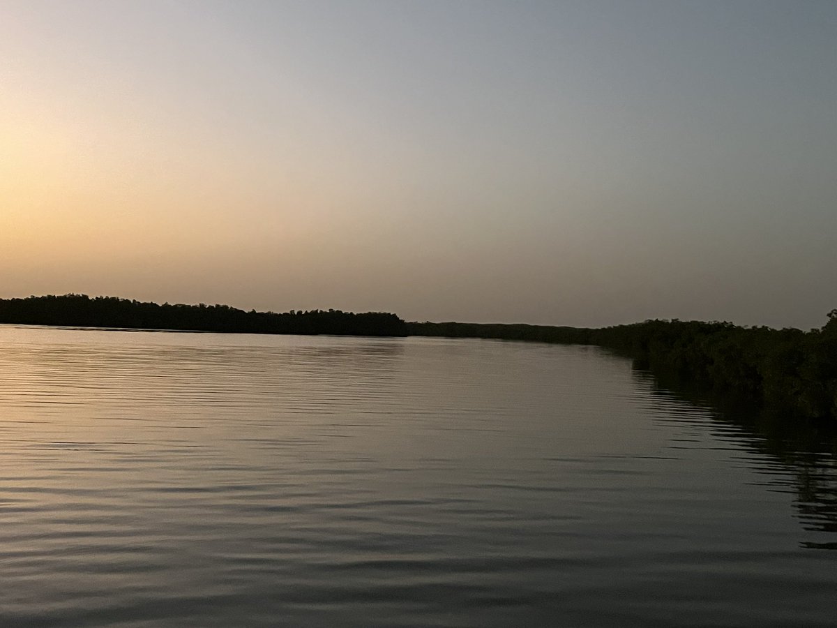 Mia (@miamia99859940) on Twitter photo 