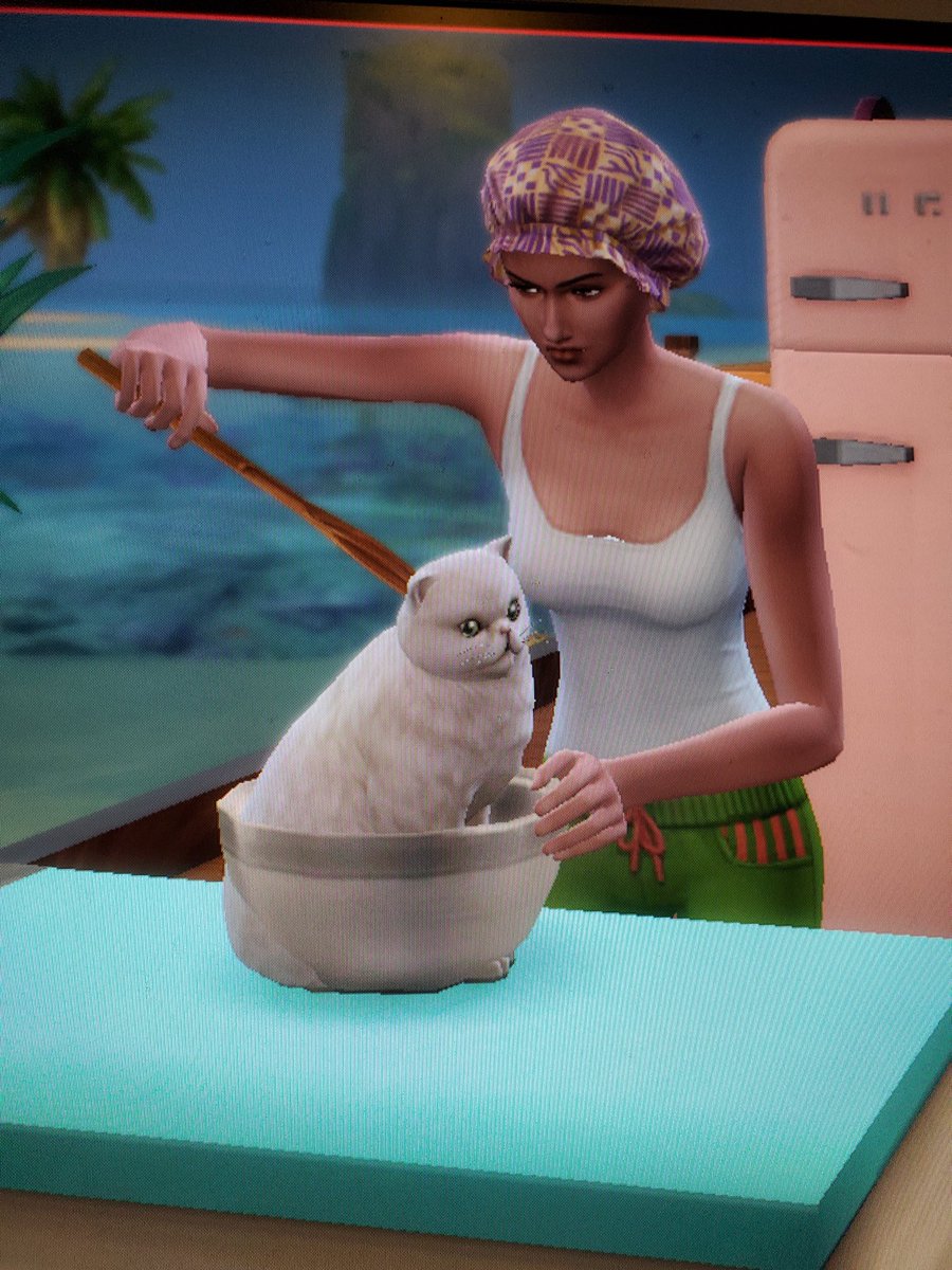 Matilda Calhoun, PhD tweet media