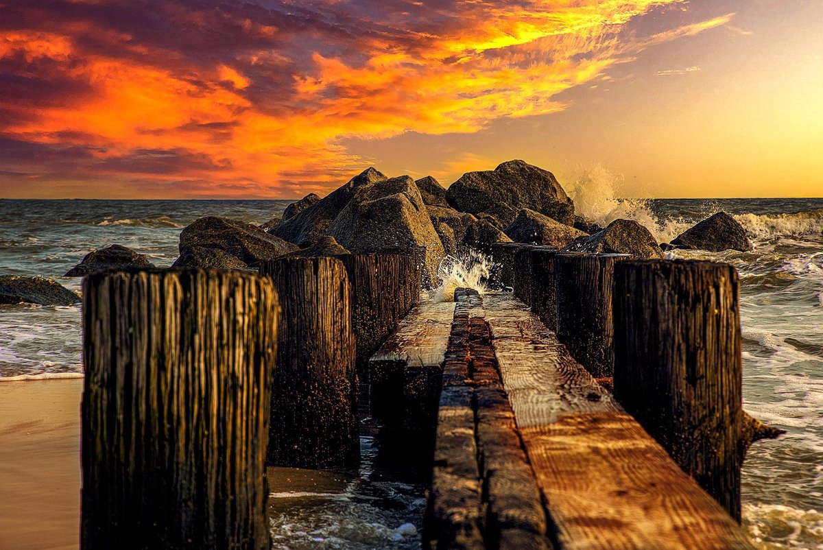 Dennisledger4's tweet image. 