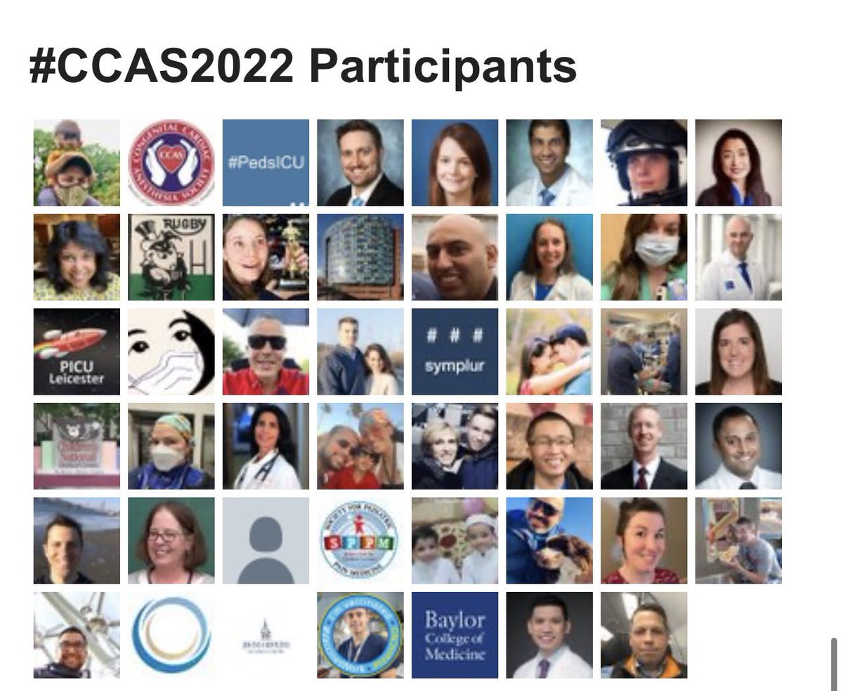 PedsCardiacAnes's tweet photo. Participants of #CCAS2022 https://t.co/EEyyxr2UXP