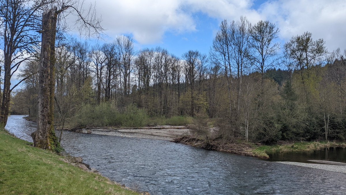 Suzholston's tweet photo. Beautiful day today. #GetOutside #PNW #WestCoastBestCoast #River #Rocks #Trees #Nature #Beautiful #Sunshine #BestFriendTime https://t.co/LX8JhPZMKx