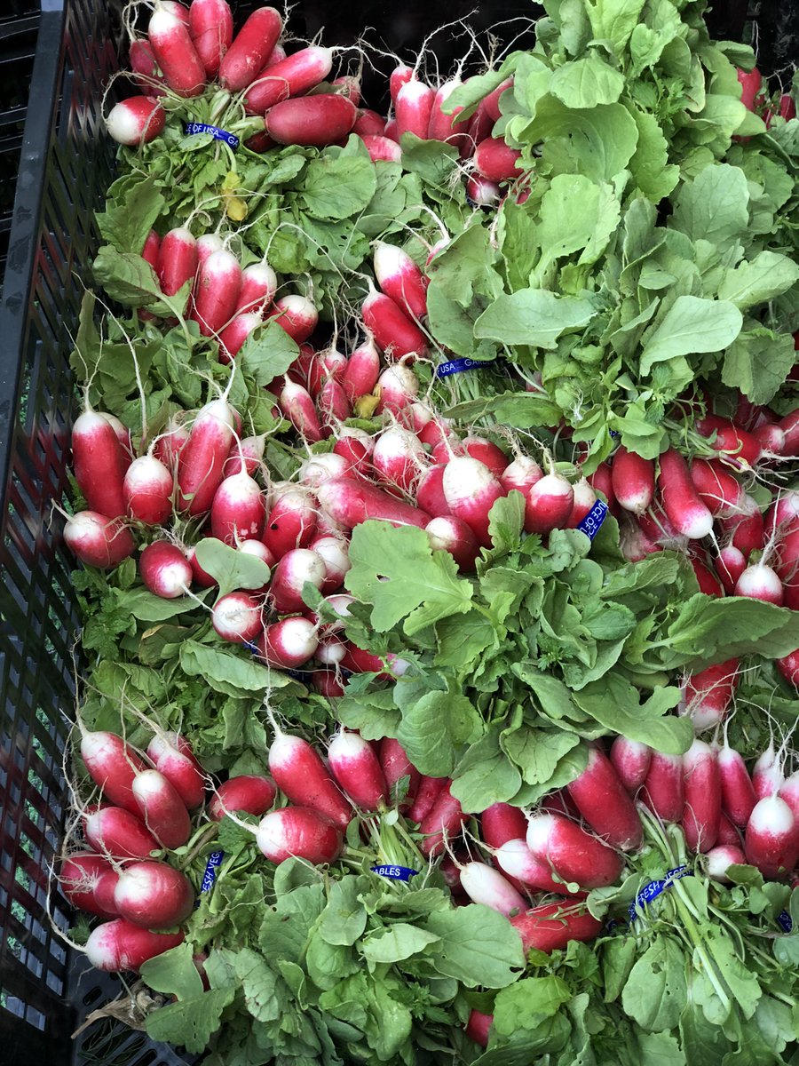 Passover delivery &amp; takeout orders at exploretock.com/akasha