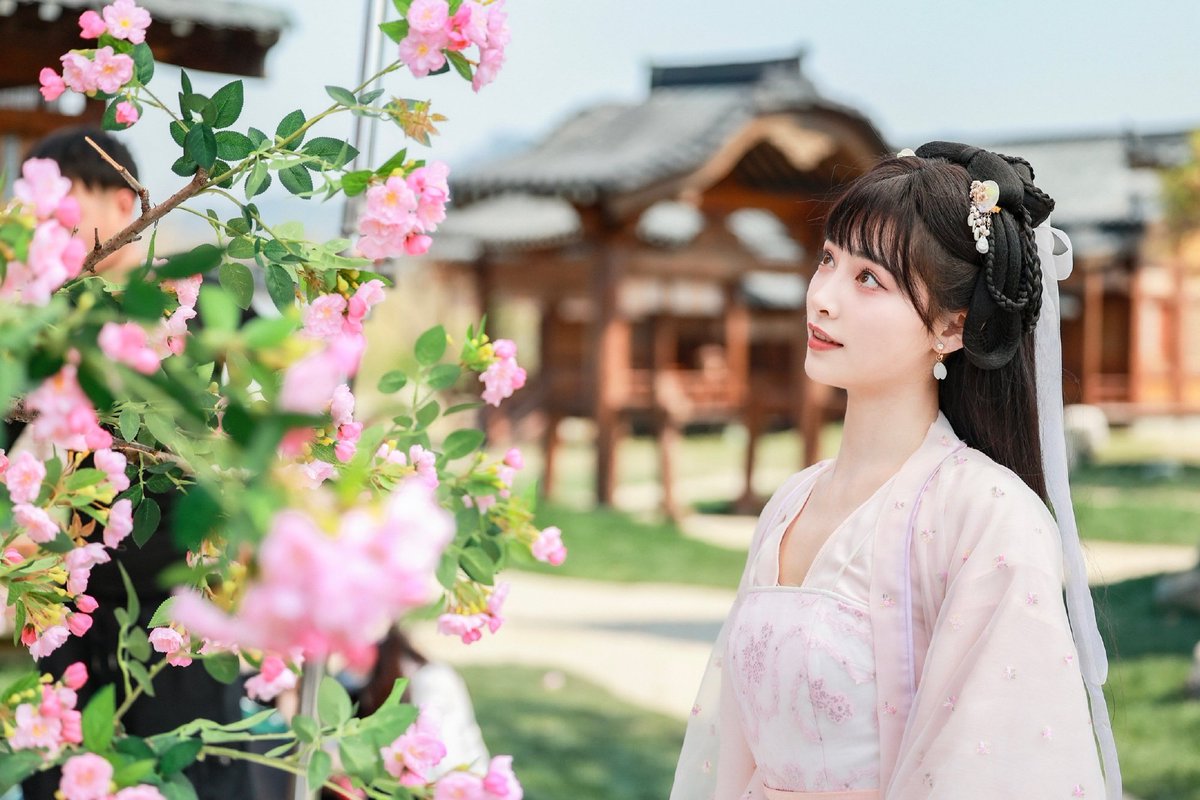 梦留史学 tweet media
