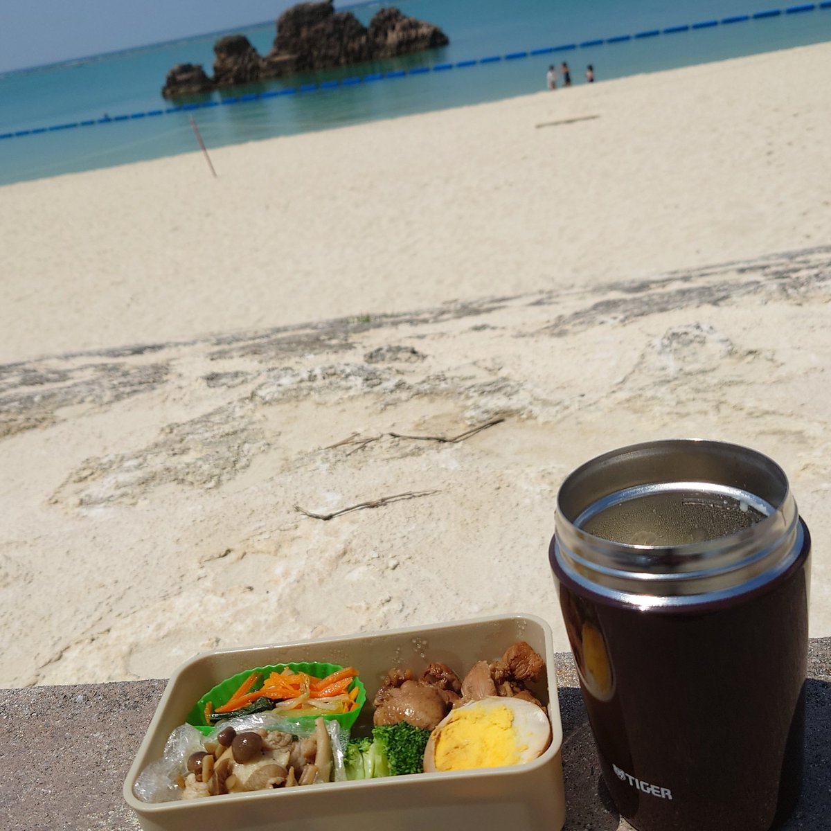 yuttarinchu's tweet photo. 昨日のお弁当タイム
暑くて春休みの子ども達が海水浴を楽しんでいましたよ
今日はあいにくの曇り空、ランチタイムには晴れてくれるといいなぁ
#海と弁当記録 https://t.co/PluB2hzVx8