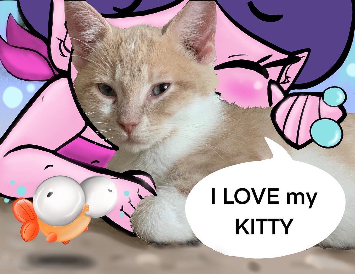 AutumnPelfrey14's tweet photo. Self promotional pieces to help promote my artwork some more including my orange kitty.
#art #cats #promotional #ArtistOnTwitter #mermaids #artwork #myart #ccad #ccadanimation #networking #digitalart #digitalartwork #promoteart #artist #artschool #drawing #drawingart #cartoon https://t.co/Ua0xsdKXZC