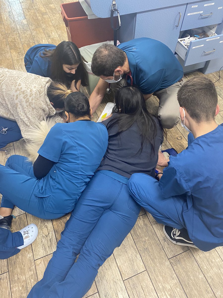 AllVetCare's tweet photo. Here’s our team collecting a urine sample on our patient Doodle! #UA #UASensitivity #AllHandsOnDeck #AllVetCare #AnimalHospital #VetsOfCamarillo https://t.co/Nl17KXxq2O