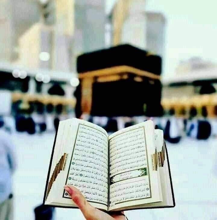 په نړۍ کي..!💞
تر ټــولو غوره او حق.
 ویونـکی قانـون قـران کریــم ده،❤
#قرآن 
<a href="/Nk5398307/">Nk Tanha.7(تنها) 🍁</a> 💔
<a href="/Janatway/">حافظ حامد احمد</a> <a href="/Madina1m/">مدینه منوره ❤️</a>