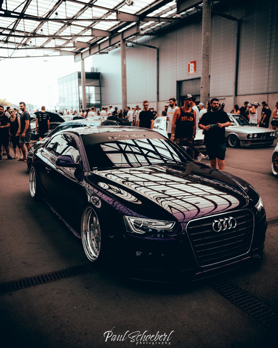 AccuAir's tweet photo. An A-Tier Audi S5 from @paz_pipfein, fitted perfectly and laid out on #eLevel. 🤌
📸 @trkvpe_photography
#AccuAir #Bagged #BaggedAudi #S5 #Quattro #Ultrace #AirRide #LayFrame #Slammed https://t.co/R4Nlsznvcf