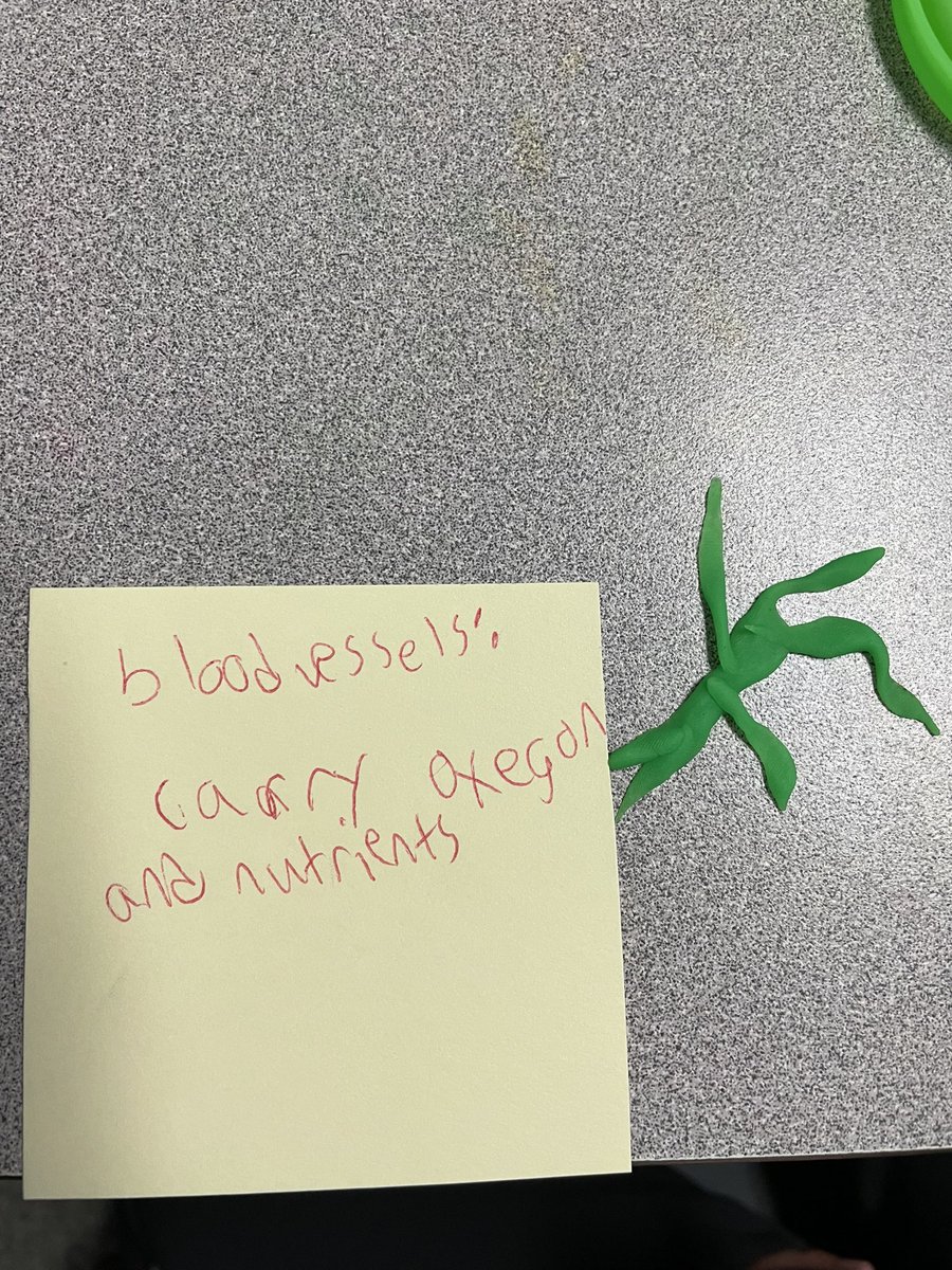 Mrs_Lake5th's tweet photo. Amazing work today in 4th grade!! #emc2learning #xlap playdough and sticky notes and GWWA @jcorippo . Thanks to @mrsjamiehalsey and @HofmannEDU for inspiration #springcue https://t.co/czouewYkME