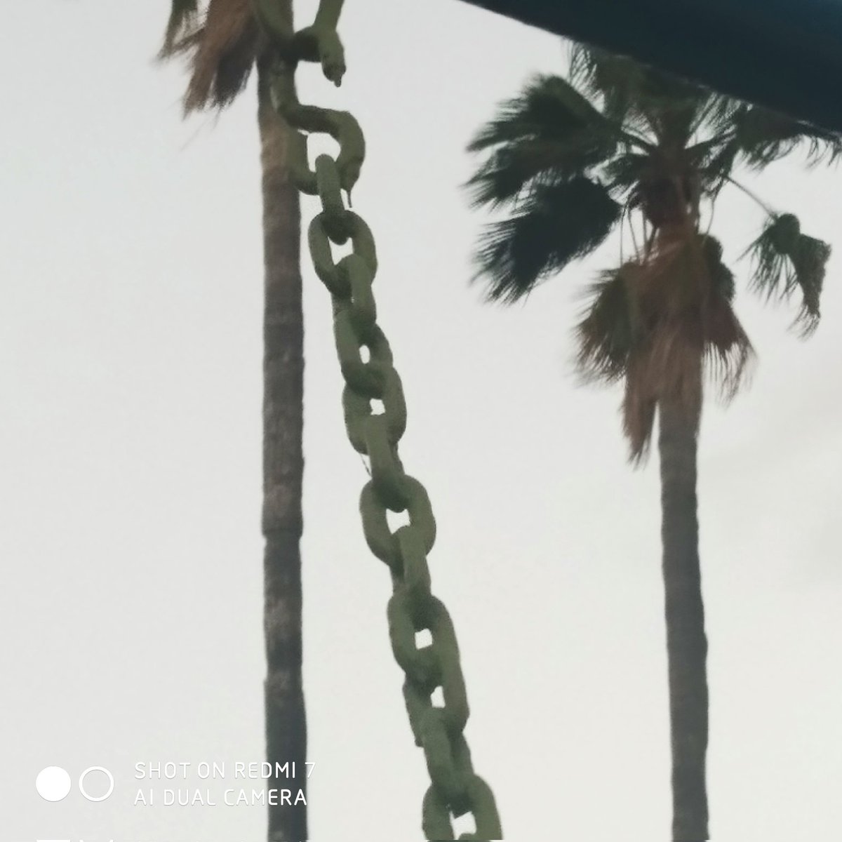 ComunidadChepeLomas tweet media