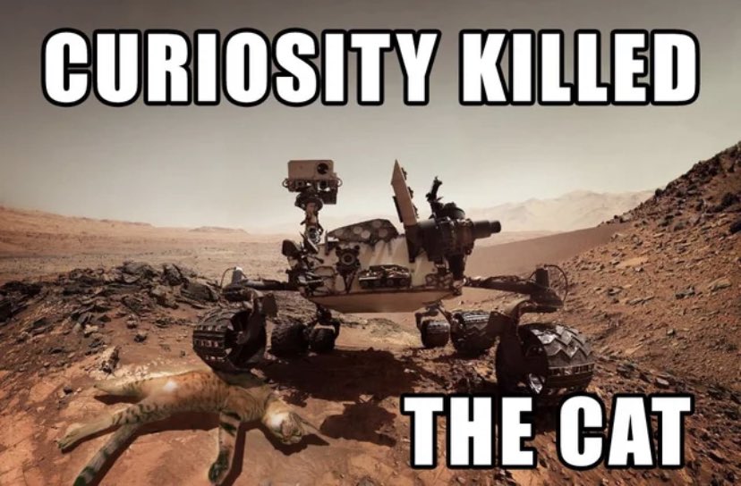 arian__dedaj's tweet photo. @elonmusk @elonmusk the good thing is that the cat has nine lives https://t.co/5xHnQ6OyDO