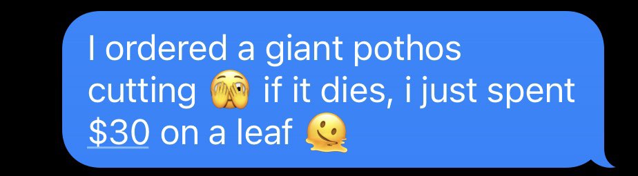 This is the stupidest thing I’ve ever said, to date.