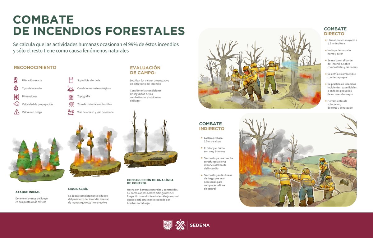 SEDEMA_CDMX's tweet image. La ola de calor que vivimos en estos días puede causar más incendios, pero entre tod@s podemos prevenirlos 📉

Checa esta información ⤵️, compártela 🔃 y ayúdanos a evitar #IncendiosForestales 🔥🌳🔥

🌐 bit.ly/3NLVp1H