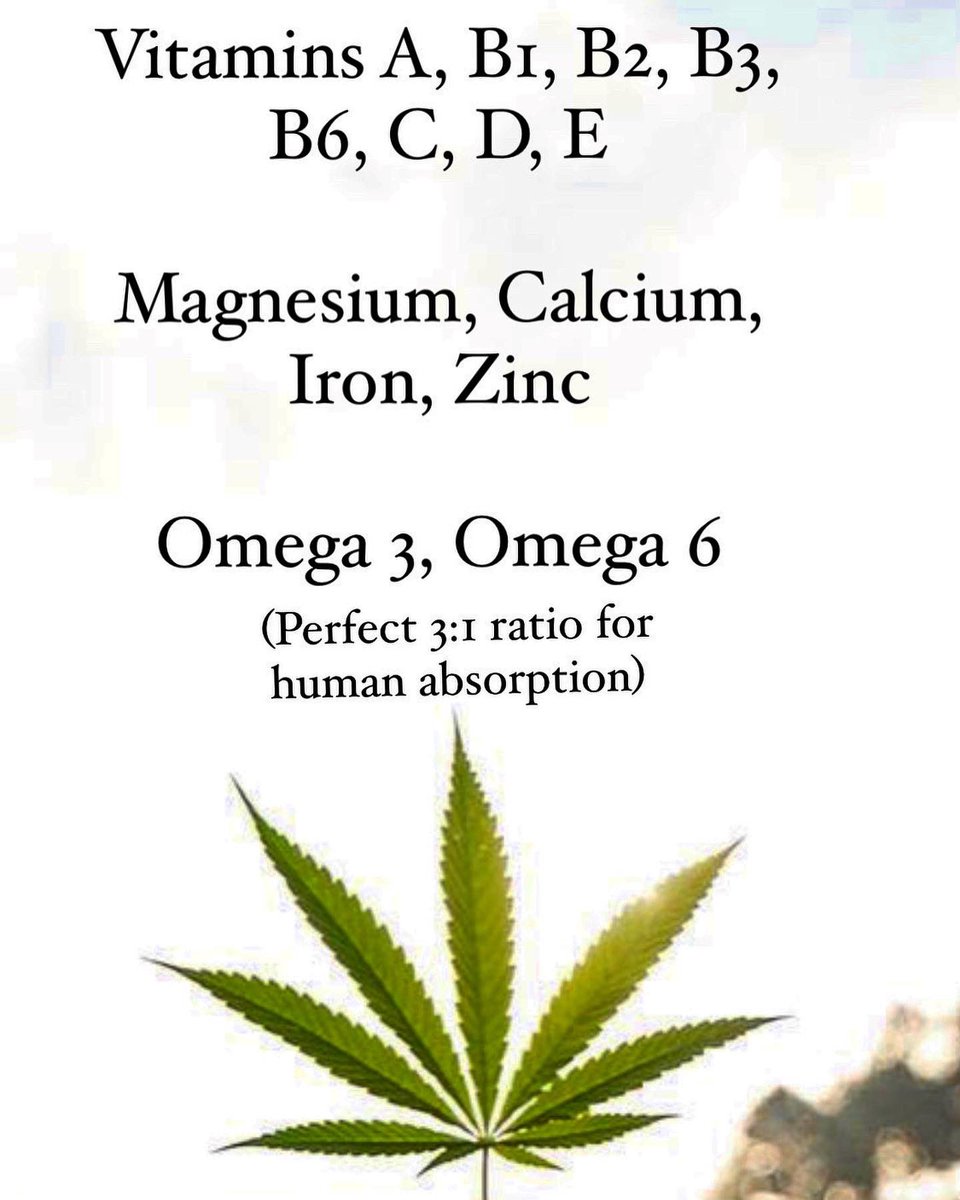 So grateful to have won a Global Vegan Award for Best Hemp Body Care! Thank you <a href="/LuxLifestyleMag/">LUXlife</a>
#Hemp #HempBeauty #VeganBeauty #Vegan #OrganicBeauty