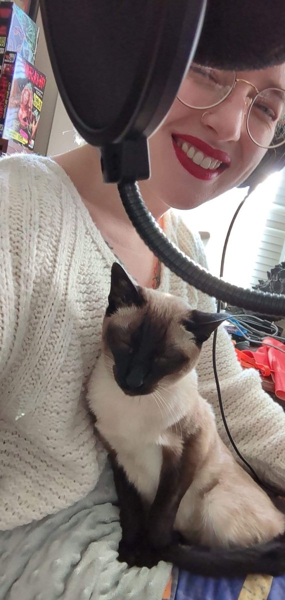 ICFTMPodcast's tweet photo. Cheers to talking about folk horror for the podcast with a sleepy Siamese! #horrorpets #CatsofTwittter #HorrorMovies #horror https://t.co/sfGjHMrZGe