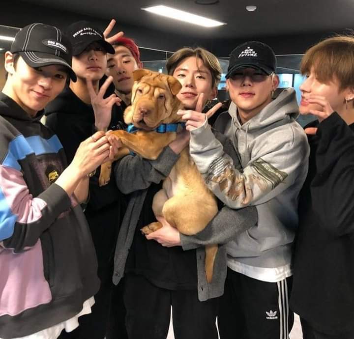 KikiDan15's tweet photo. Una foto para alegrar el día 🥰
#MONSTA_X #Monbebe #WONHO #Wenne https://t.co/ALrWohvuwk
