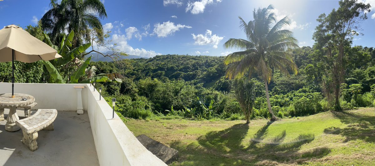 SO EXCITED to call this view “our backyard” for the next month!! 
🌄🌴🌺🦜👀
#puertorico #elyunquerainforest