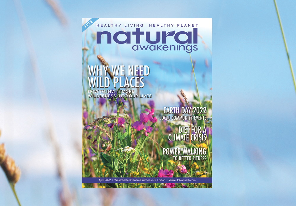 WakeUpNaturally's tweet photo. Check out this month's edition of Natural Awakenings!
https://t.co/YtcnFZ70LP

#Westchester #Putnam #Dutchess #NY #NaturalAwakenings https://t.co/yk2SuNOdHT